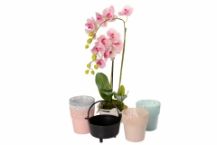 135 Plastične saksije   